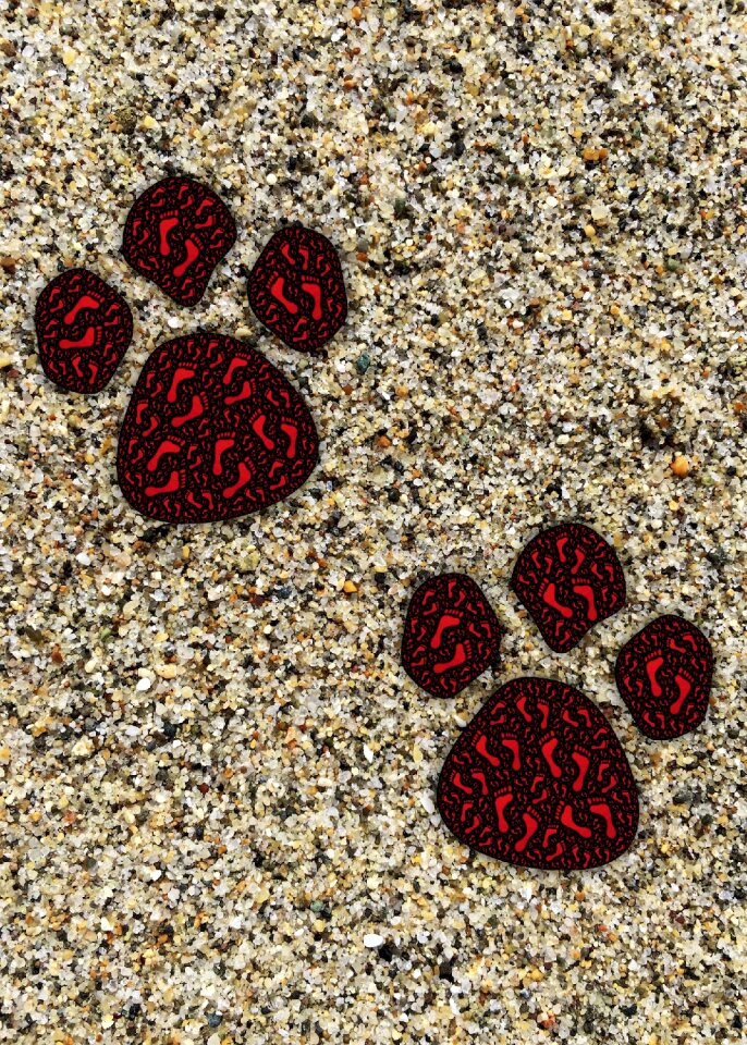 Track foot pattern