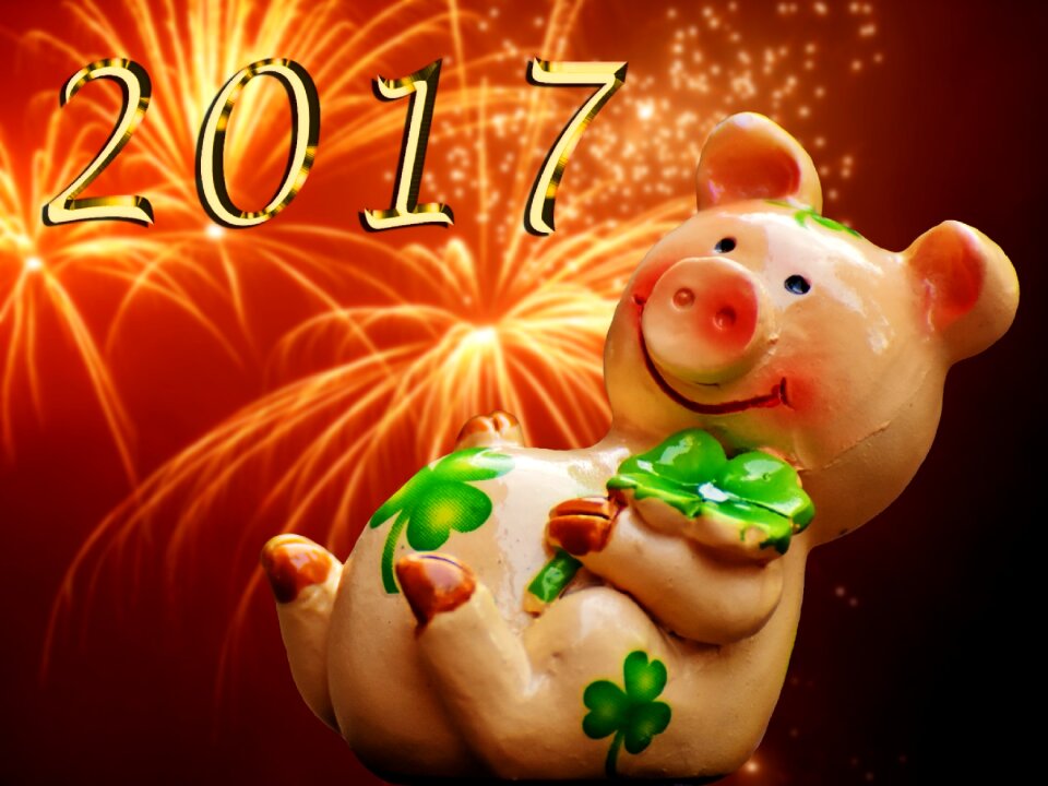 Cute lucky charm sow