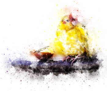Abstract watercolor vintage