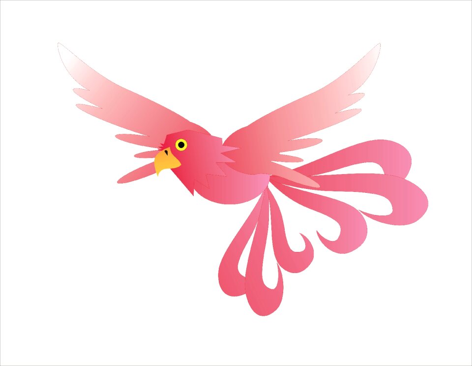 Bird mystic Free illustrations