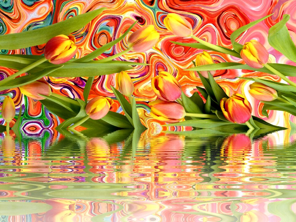 Isolated spring bloom