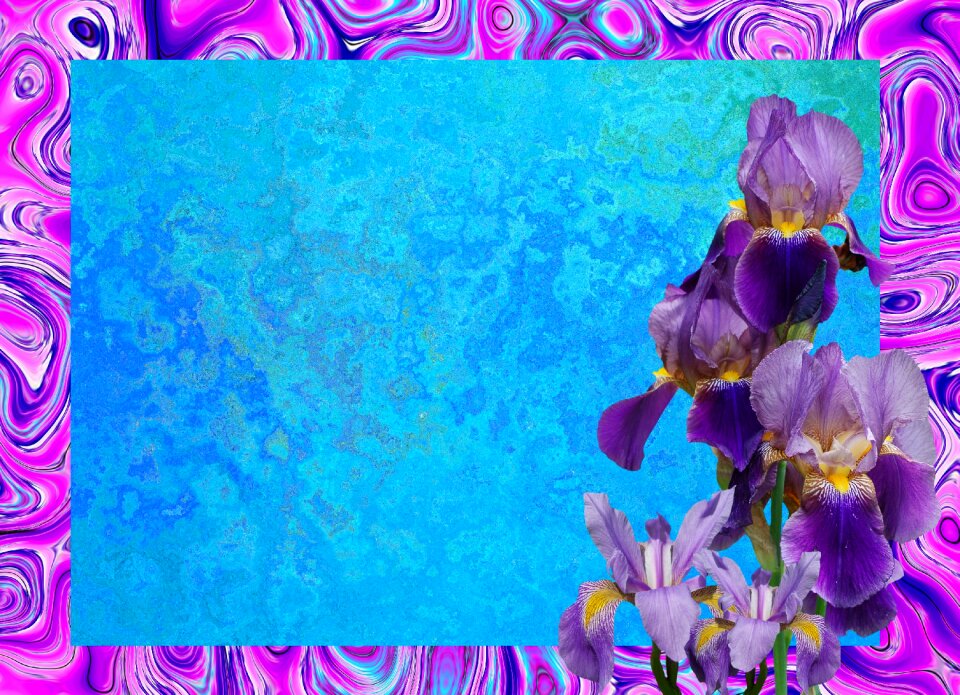 Violet plant nature