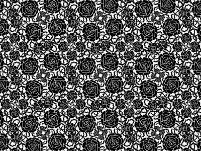 Black plant gray plant
