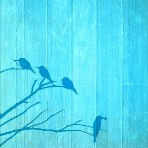 Texture scrapbook vintage