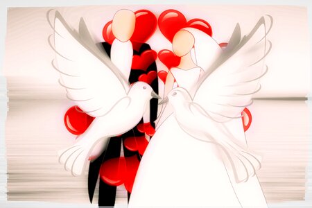 Pigeons love valentine's day