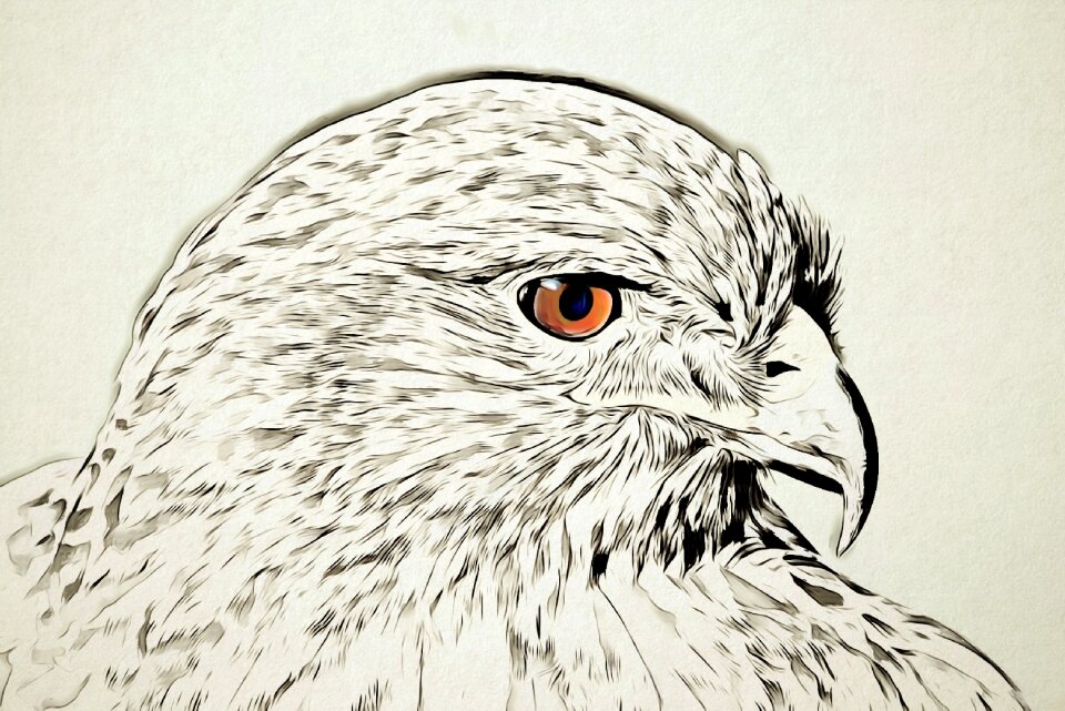 Bird pen handmade paper
