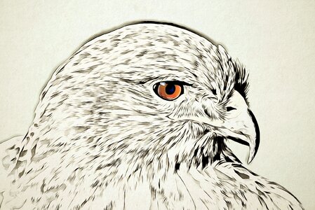 Bird pen handmade paper