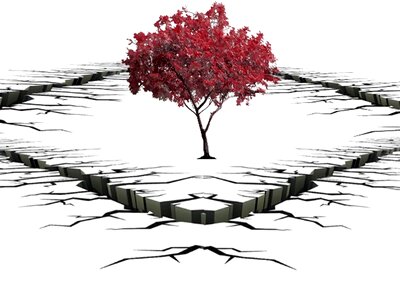 Hollow nature isolated form