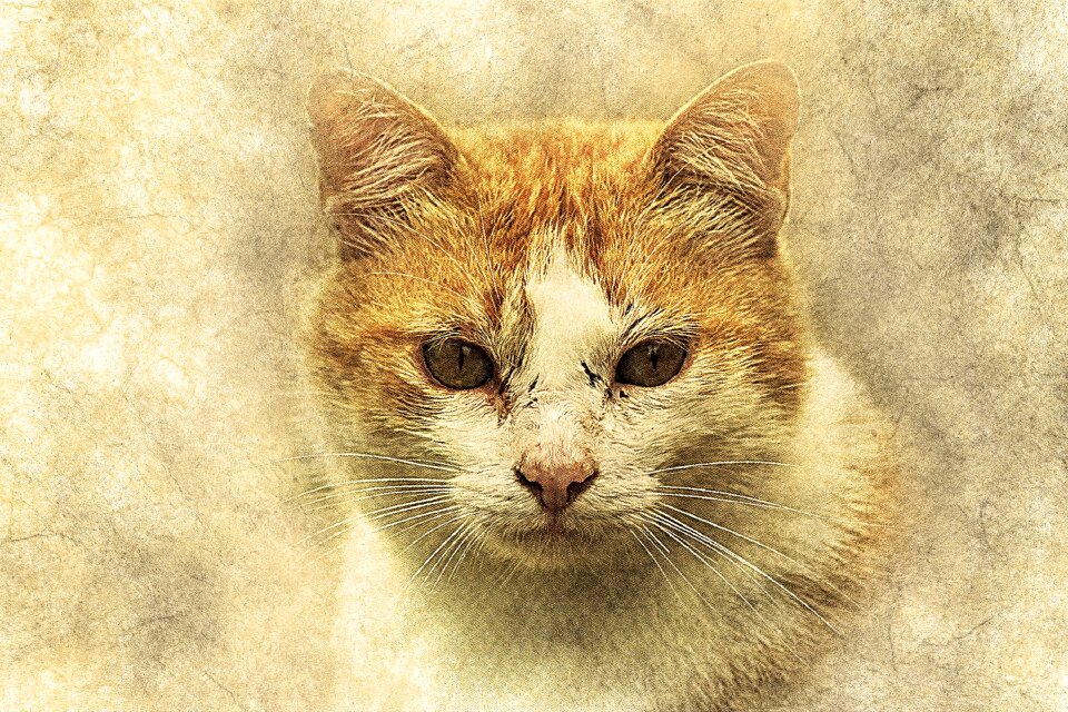Abstract vintage animal