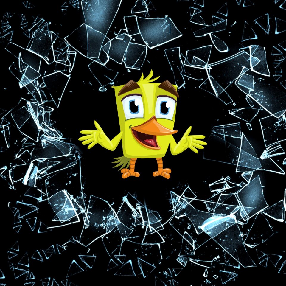 Funny chick chick funny bird