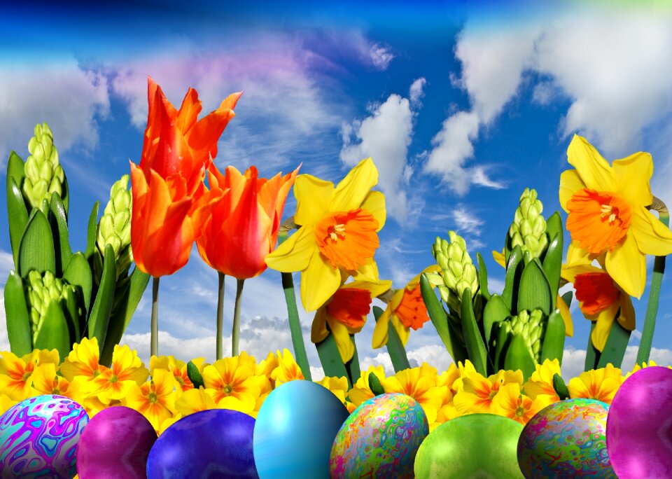 Egg colorful color