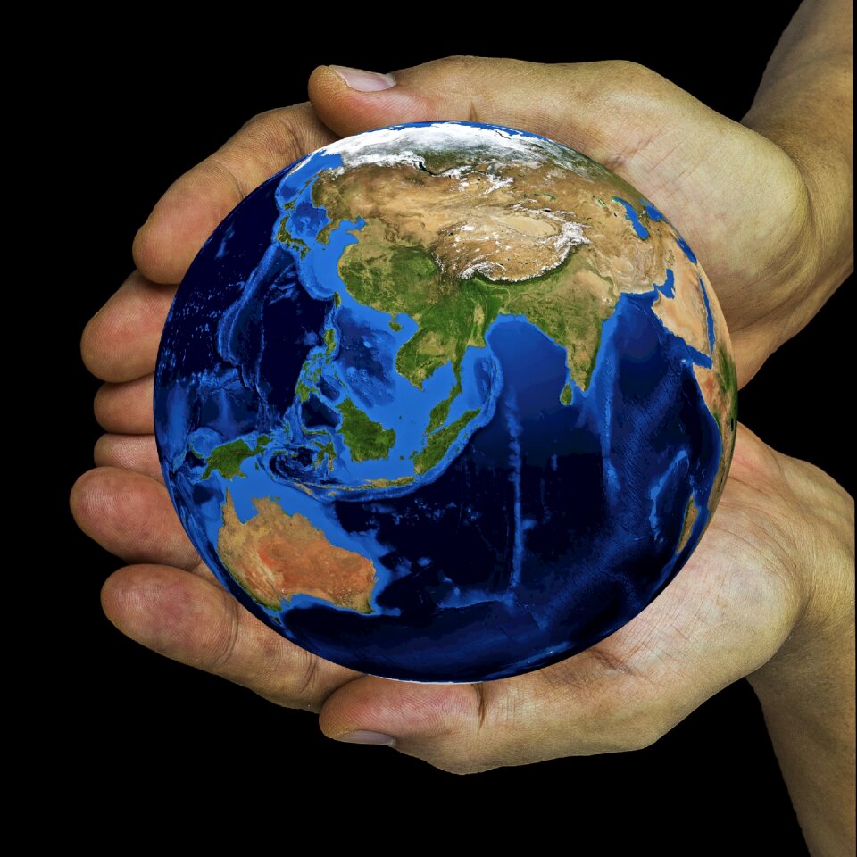Hand access to the market progress