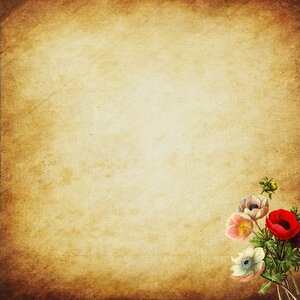 Scrapbook vintage decorative