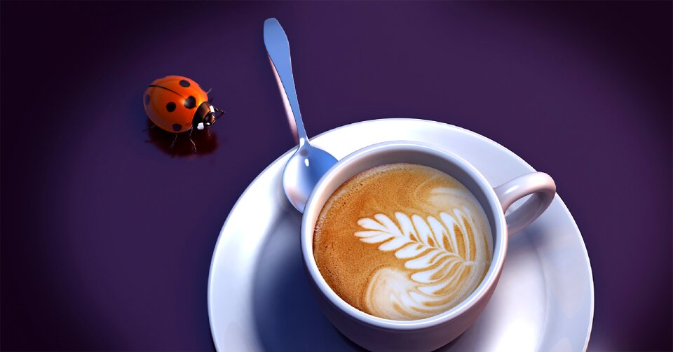 Crema coffee foam milchschaum