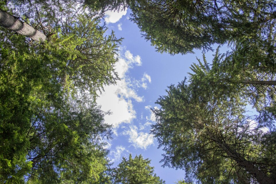 Magic magical nature