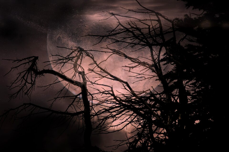 Mystical fantasy fairy tales