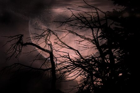 Mystical fantasy fairy tales