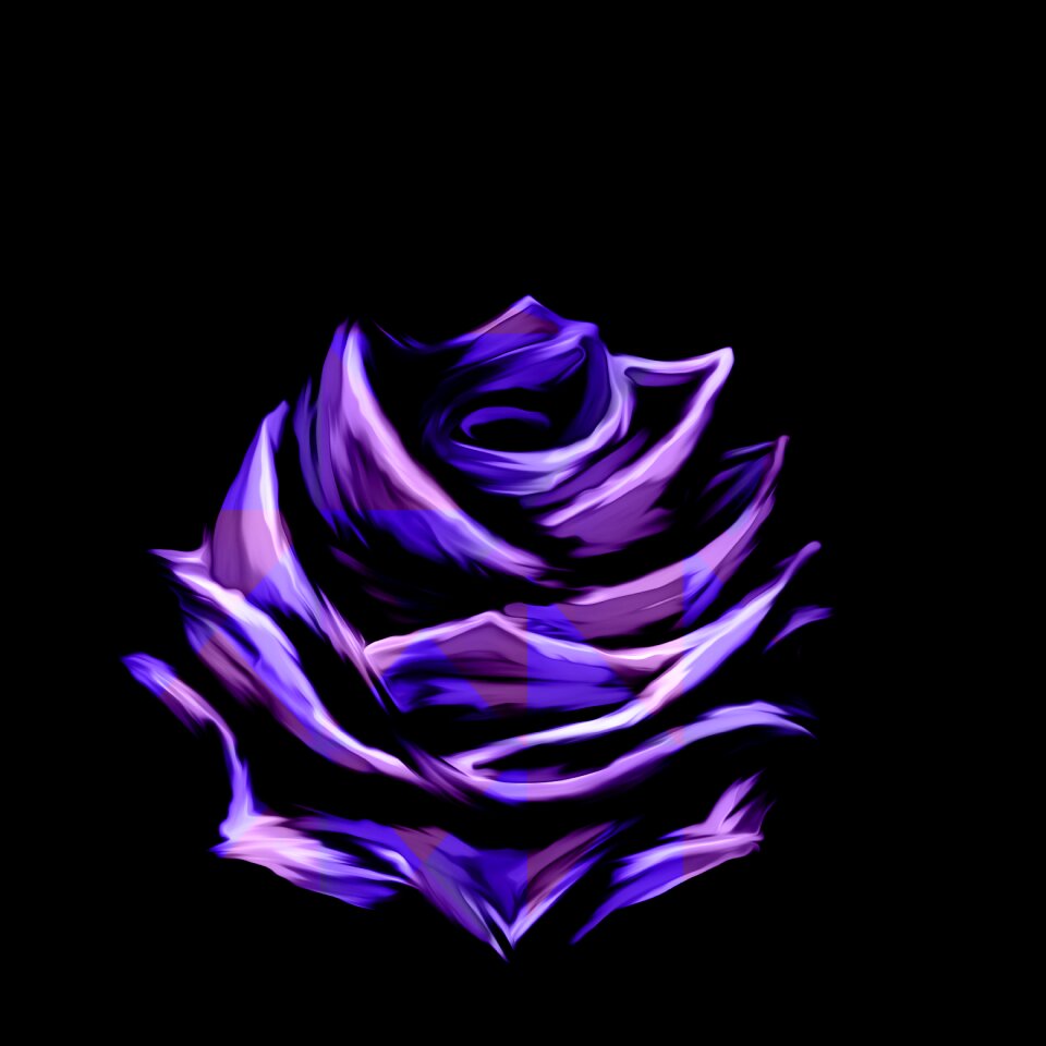 Nature blossom floral
