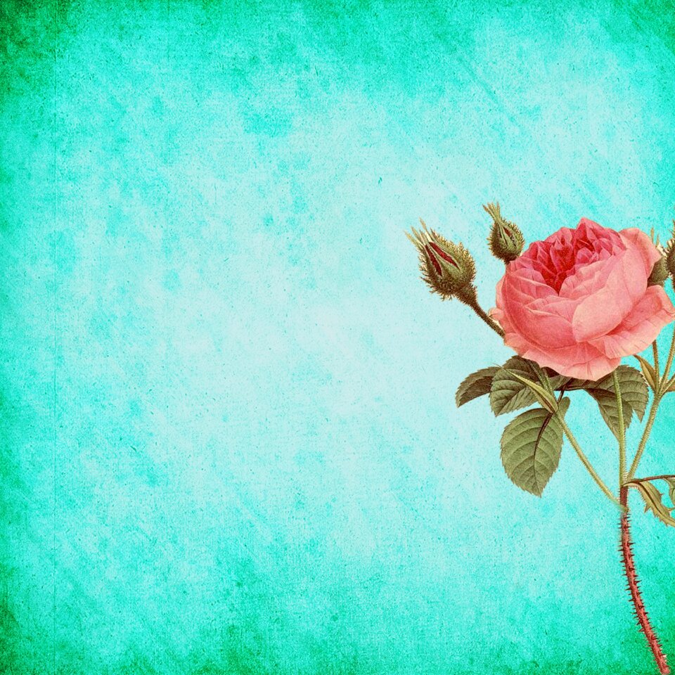 Scrapbook vintage texture