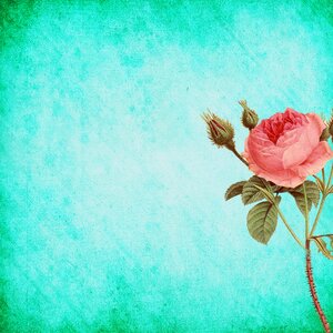 Scrapbook vintage texture