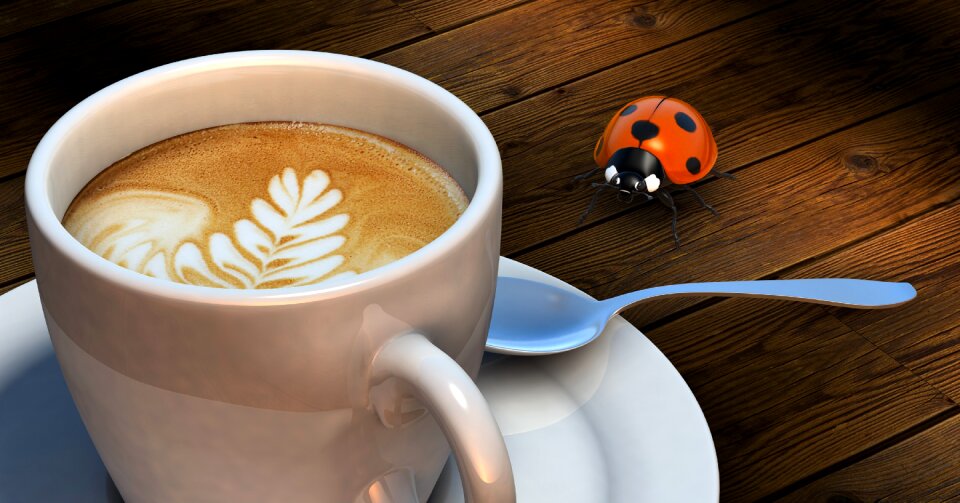 Crema coffee foam milchschaum