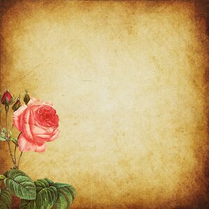 Scrapbook vintage texture