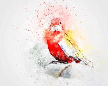 Art abstract watercolor