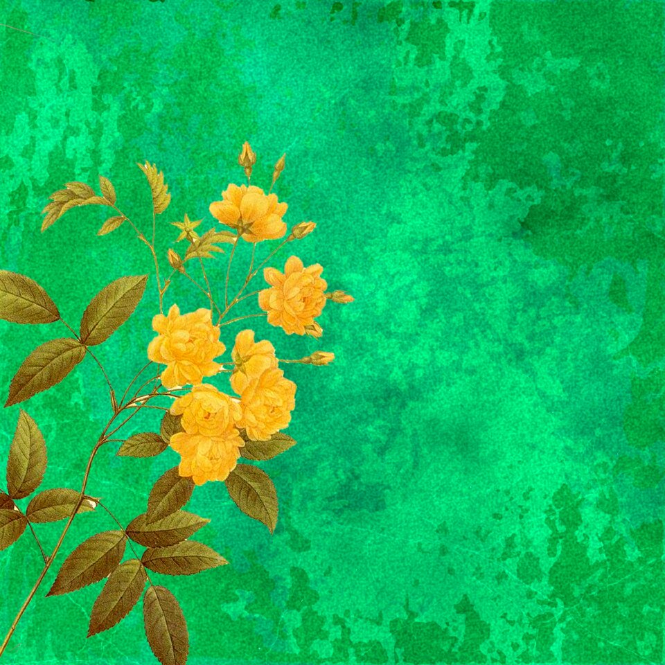 Scrapbook vintage flowers
