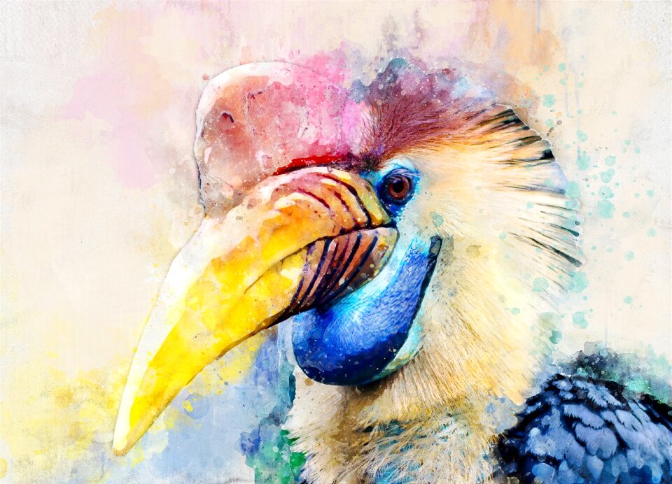Nature watercolor Free illustrations