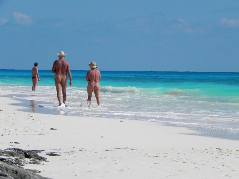 Nudism nudist beach Free illustrations