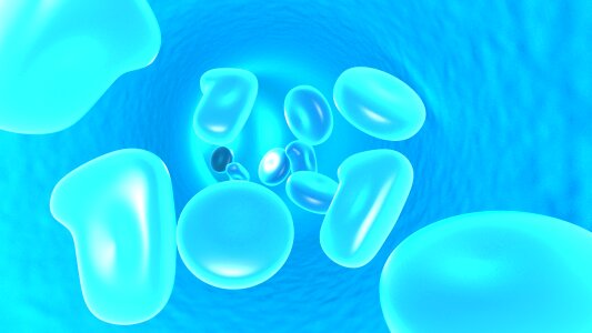 Liquid blue blue blood