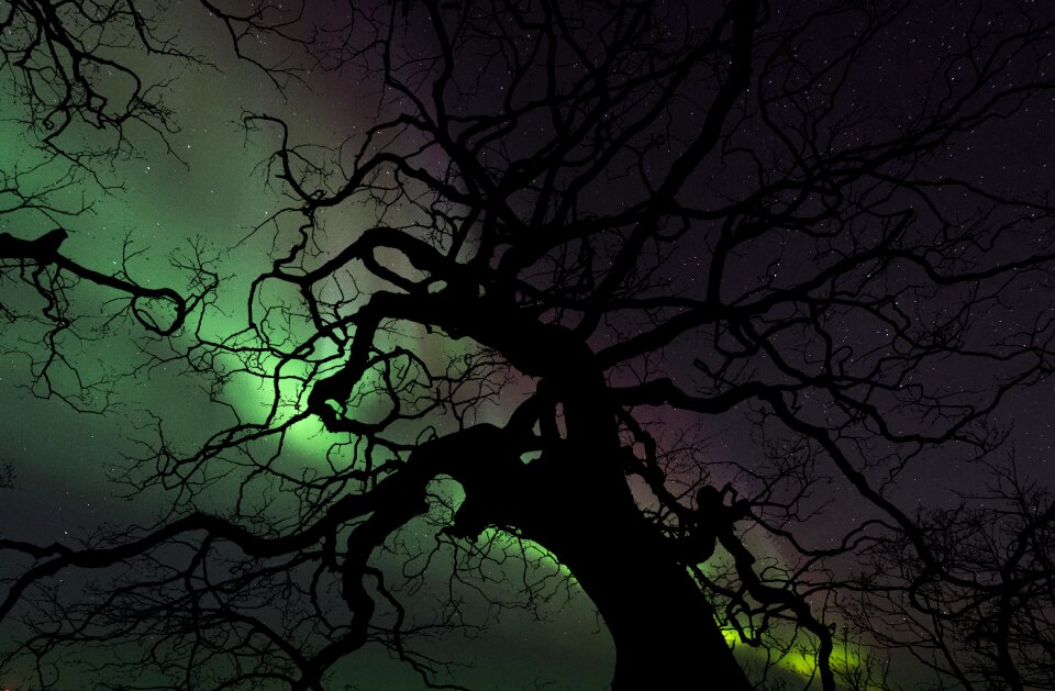 Night sky landscape