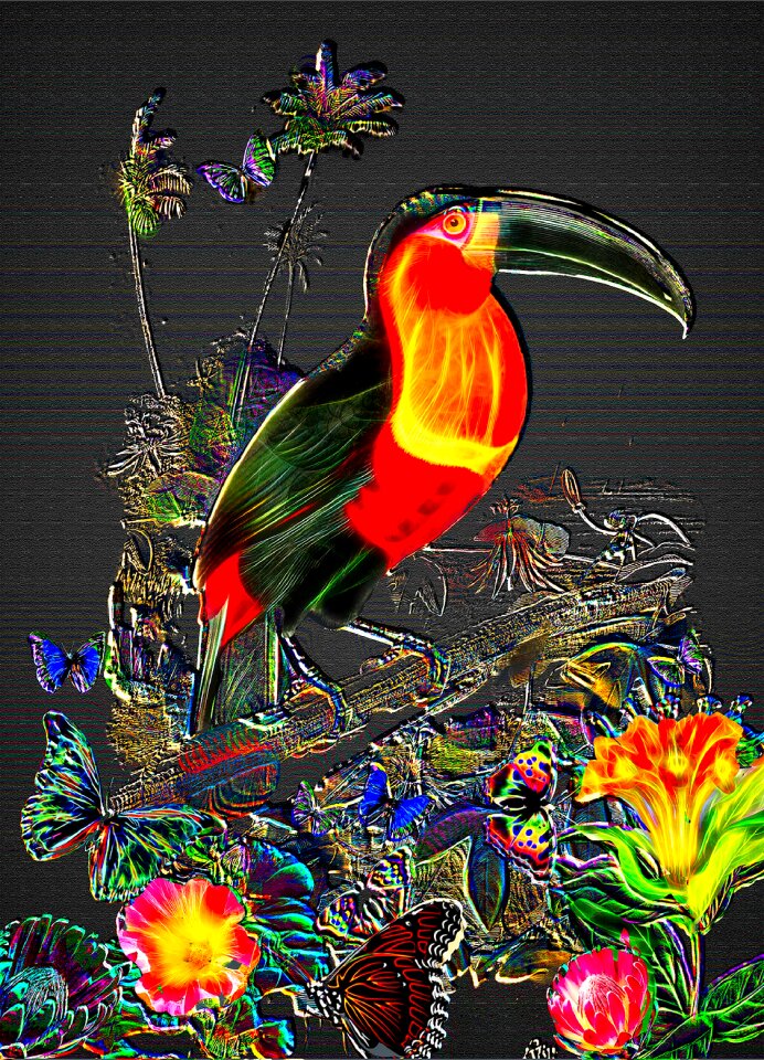 Jungle background toucan wall art Free illustrations