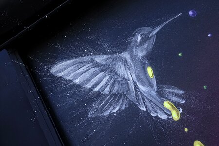 Painting bird Free illustrations