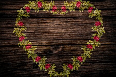 Playful roses heart