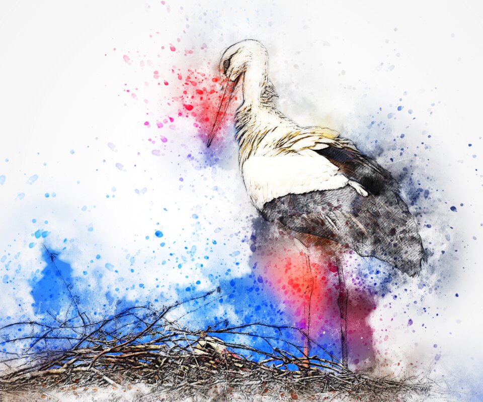 Animal art abstract