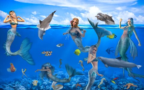 Fairy tales fantasy picture photomontage