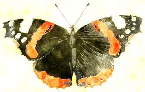Ink style artistic