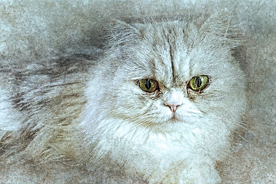 Abstract vintage animal