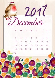 Holiday xmas calendar