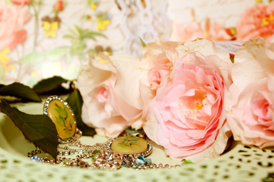 Rose splendor romantic nostalgic