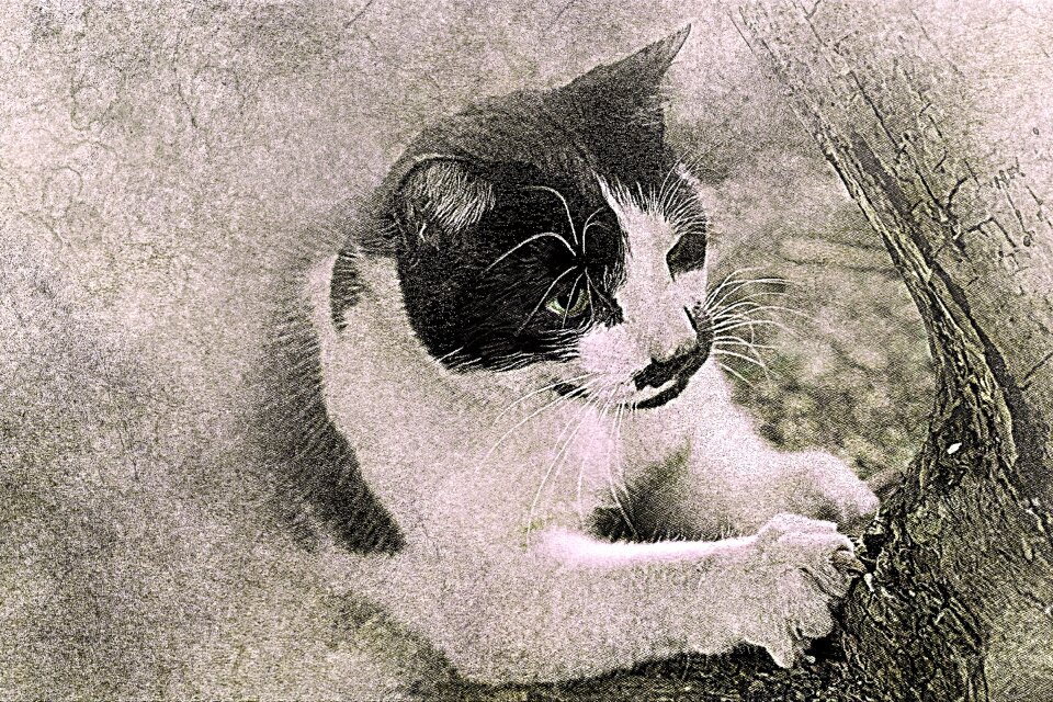 Abstract vintage animal