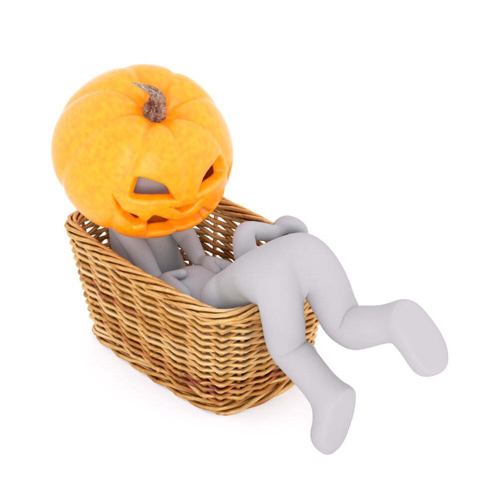 Autumn pumpkins autumn gourd