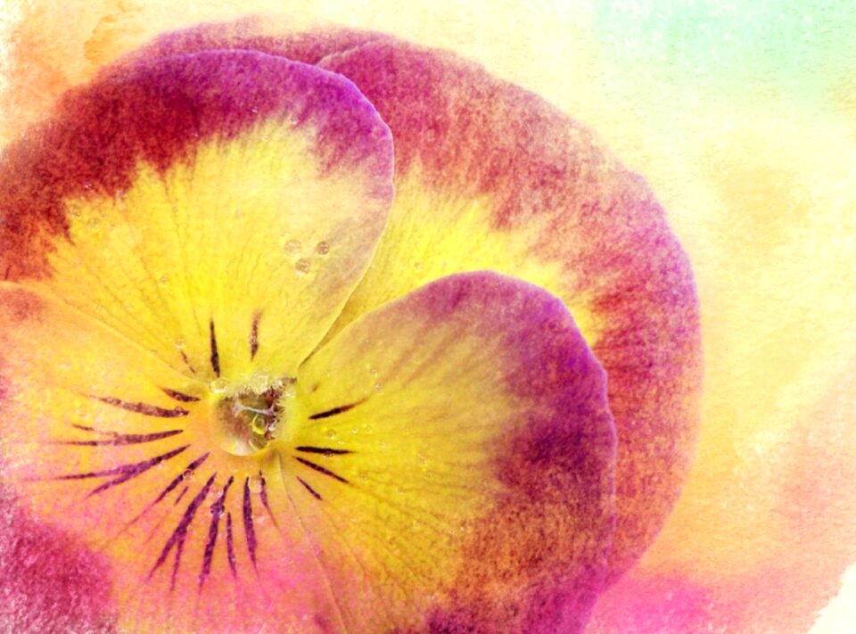 Background watercolour Free illustrations