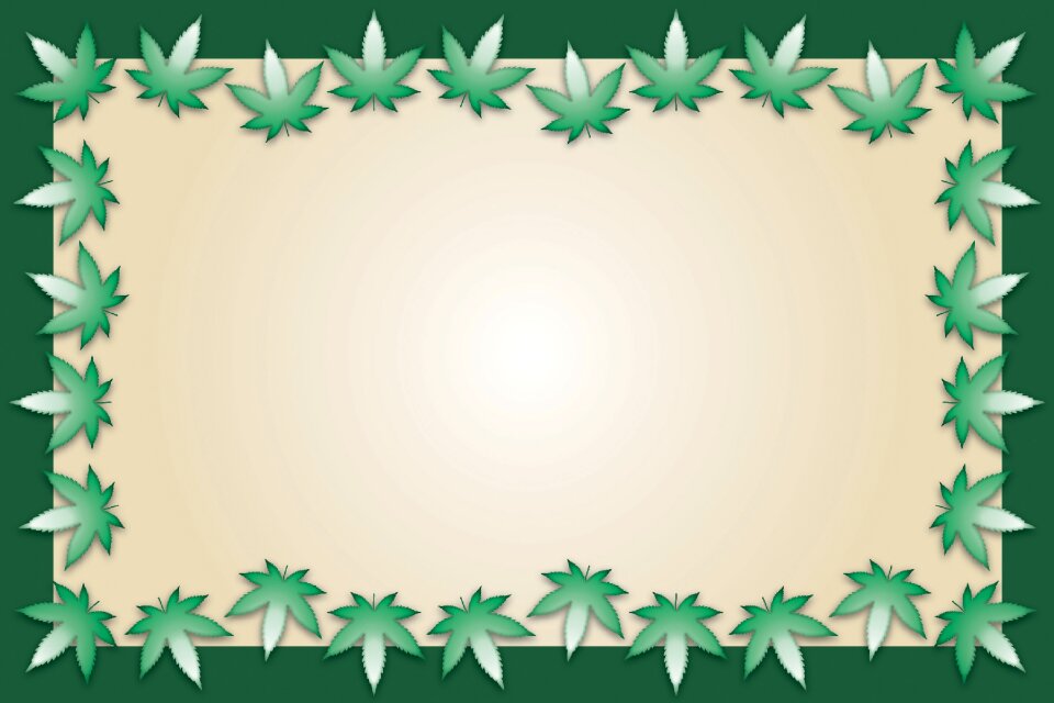 Frame border holder