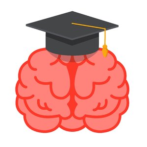 Dear hats intelligence