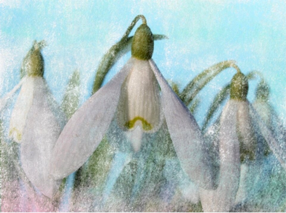 Background watercolour Free illustrations