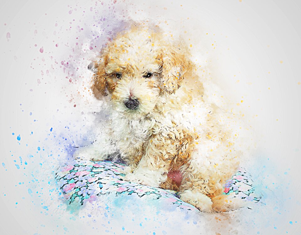 Art abstract watercolor