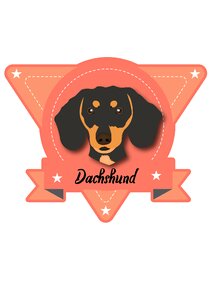 Cute dachshund Free illustrations