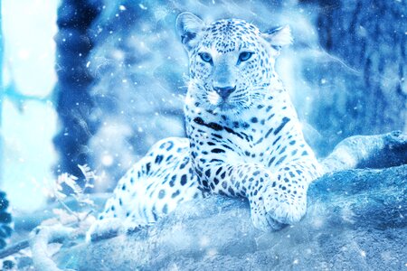 Snow art vintage